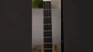 Ukulele Guitar Promo Vid