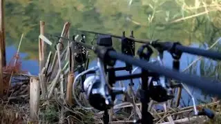Carp Fishing Greece