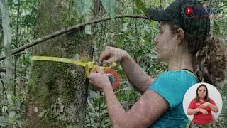 Carbono neutralidad UNA