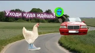 Игра в безпрезорную курицу