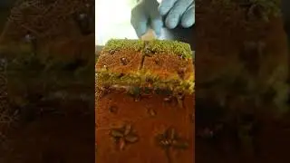 BENZERSİZ BİR LEZZET FISTIKLI KADAYIF