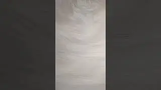 24 мая 2024 г.