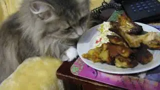лапочке не стыдно или новогодний пережор