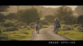 BMPCC 6k Test footage, LOW LIGHT, Graded and Ungraded