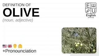 OLIVE meaning, definition & pronunciation | What is OLIVE? | How to say OLIVE