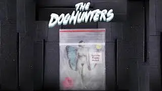 The DogHunters - Splitter Phaser Naked (Full Album)