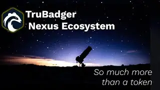 TruBadger Community Nexus Ecosystem launches CataBolt Swap with NSIGHTS from TruBadger and digieBot