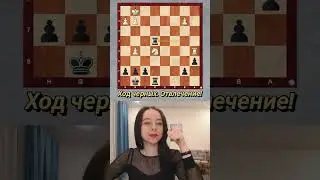 Шахматный юмор 😉  Отвлекаем фигурки соперника 