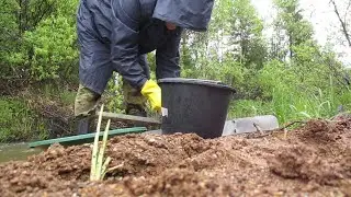 Old Mine. First Gold