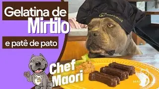 Para os Dias de Calor - Gelatina de Mirtilo 🫐 Nossa Rotina #americanbully