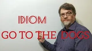 English Tutor Nick P Idioms (316) Go to the Dogs