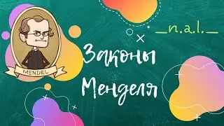 Первый закон Менделя!!!