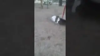 Эррор Санс вернулся !