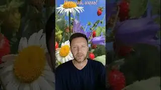 #стихи