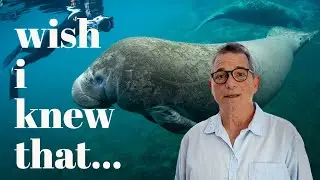 Getting Starting in Underwater Photography / What I WISH I Knew