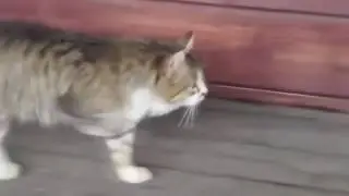 Untiгtled