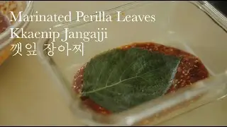 Marinated Perilla Leaves | Kkaenip Jangajji | 깻잎 장아찌 | Episode 4 Korean Banchan | Relaxing | 4K