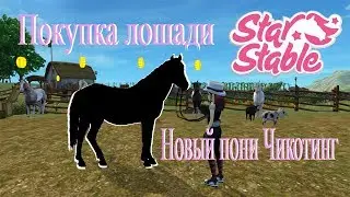 Покупка пони чикотинг || SSO || Star Stable Online
