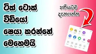 ටික්ටොක් වීඩියෝ ශෙයා කරන්නෙ මෙහෙමයි.