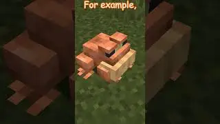 Frogs, Minecraft (1.19) #shorts