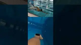 Плавание кролем от 1 лица / Swimming Crawl