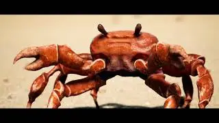 This is how Crab Mesothelioma works