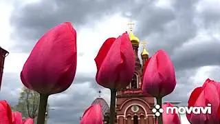 Алексеевский женский монастырь — 2019 год