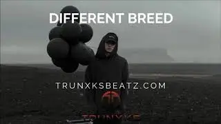 Different Breed (NF | Eminem Dark Type Beat) Prod. by Trunxks