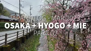 Travel Vlog: Japan 2023 - Kinosaki Onsen (Part 2)