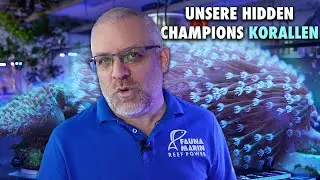 Das sind unsere HIDDEN CHAMPIONS KORALLEN! - Fauna Marin