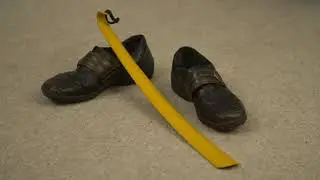 Long handled Shoe Horn