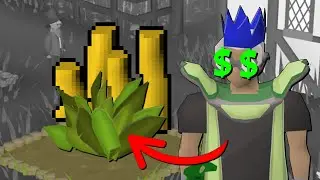 The only Herb Run Guide you need - up to 3.2M/day