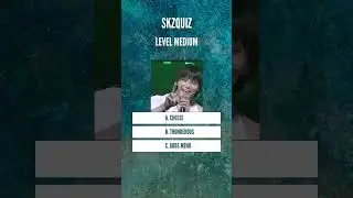 Guess SKZQUIZ1 