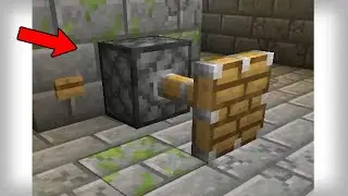 How 1 Piston Beat Minecraft