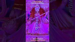Jai Maa Saraswati Darbhanga Medical College #saraswati #saraswatipuja #vidya #darbhanga #dmch