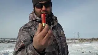 отстрел 