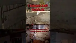 Скопинский маньяк #shorts #трукрайм #криминал