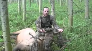 Archery Hunting Colorado Bull Elk
