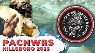 PACNWRS Reptile and Exotic Show Hillsboro 2023