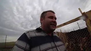 Привезли нужный материал,погода не дает работать/утро в приюте