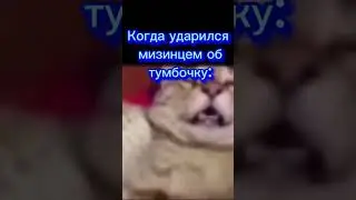 - палец, + боль #meme #memes #funny #dankmemes #memesdaily #funnymemes #lol #shorts