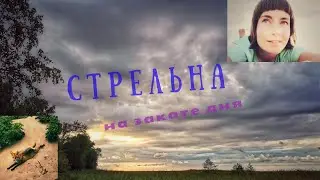 Стрельна на закате дня