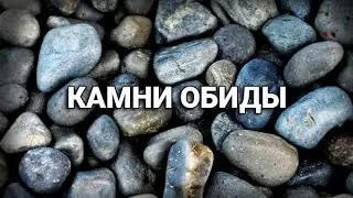КАМНИ ОБИДЫ И ИХ РАЗРУШЕНИЕ. (17 августа 2024 года)