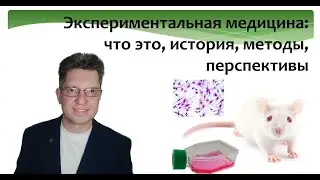 Экспериментальная медицина. Что это. Методы. Определение жизни. Уровни исследования жизни.