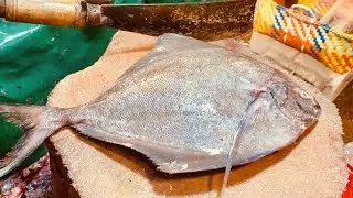 Professional Black Pomfret Fish Cutting Skills Live In BD Market | Expert Cutting Tips and Tricks