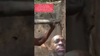Когда нанял бригаду с Авито 