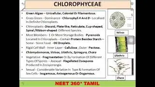 ALGAE | CHLOROPHYCEAE | MODULE 6 | NEET BIOLOGY | CHAP 3 | PLANT KINGDOM
