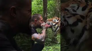 🐯 Tiger vs Alex Terrible from Slaughter to Prevail