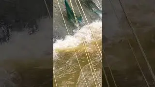 Net fishing #bridge