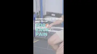 Biomechanics of Pelvis and Femur For Back Pain